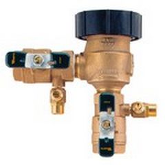 Backflow Temp Pressure Regulators